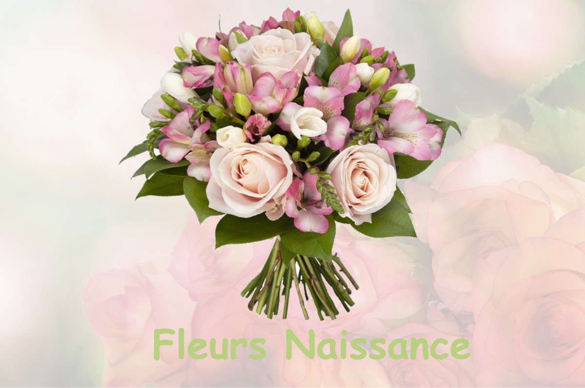 fleurs naissance OMONVILLE-LA-ROGUE