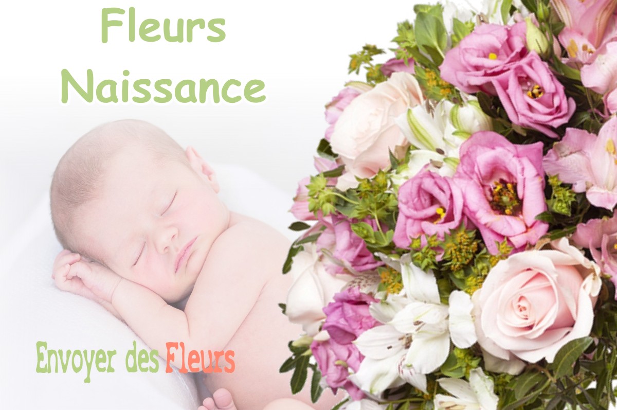 lIVRAISON FLEURS NAISSANCE à OMONVILLE-LA-ROGUE